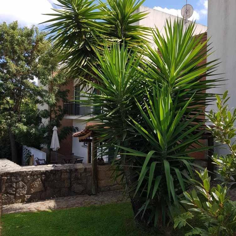 Alto Do Sobreiro Villa Escalos de Cima Ngoại thất bức ảnh