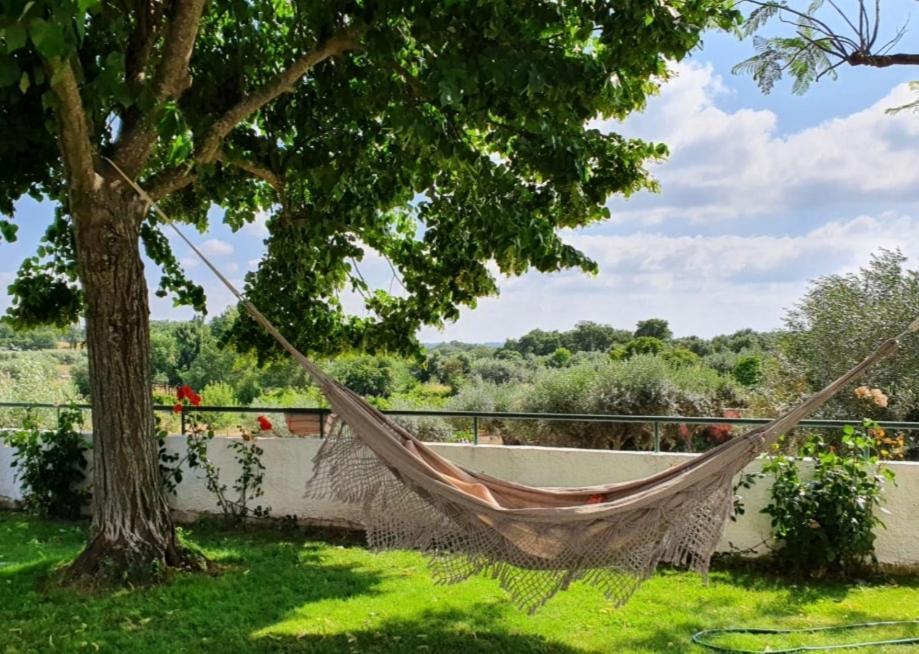 Alto Do Sobreiro Villa Escalos de Cima Ngoại thất bức ảnh